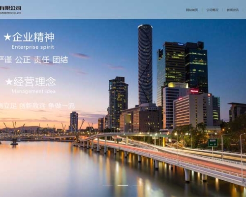 山东中实*******有限公司网站