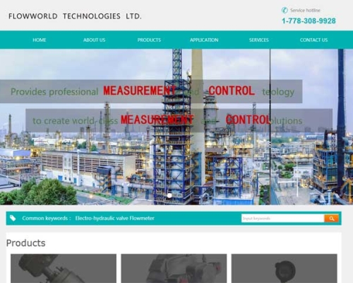 FLOW******TECHNOLOGIES LTD网站建设