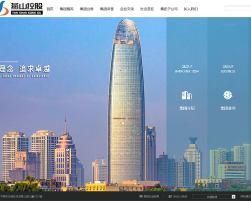 山东**控股有限公司