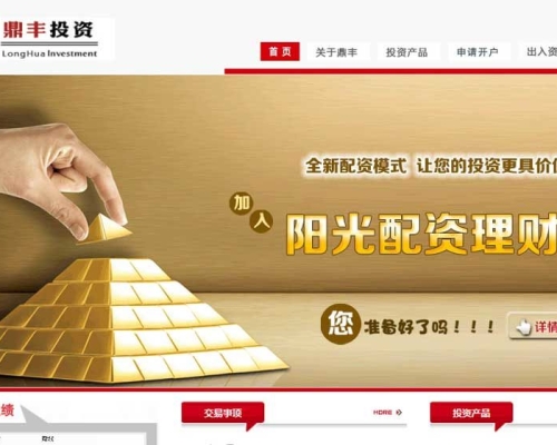 鼎丰投资