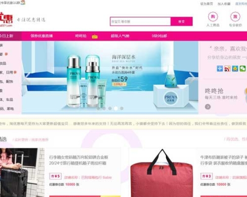 淘优惠网网站建设