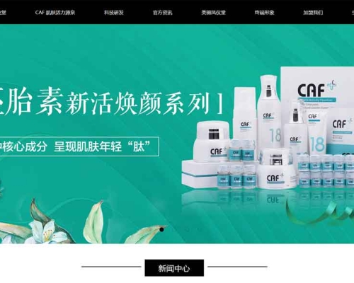 凤仪堂网站建设