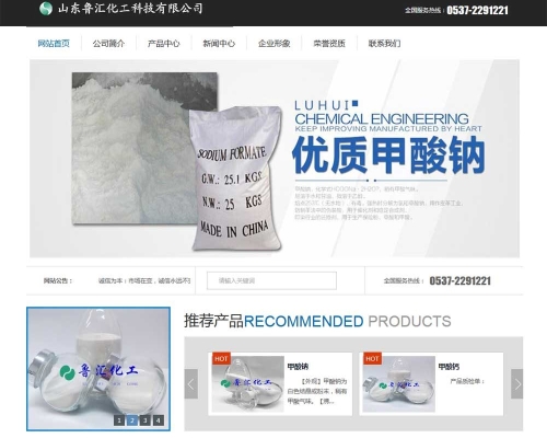 山东鲁汇********有限公司网站建设