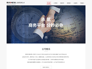 7058白色背景整洁清新商务网站模板