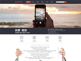 6019型简洁型商业网站模板