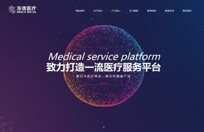 东信医疗集团网站设计制作