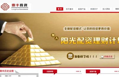 鼎丰投资