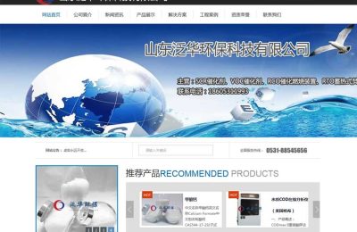 山东泛华******公司网站建设