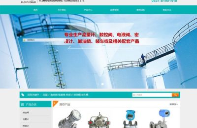 山东富迪石化设备有限公司网站建设