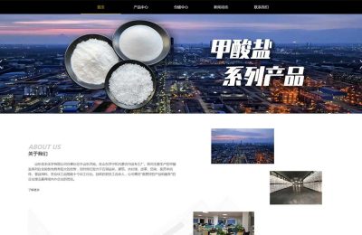 山东**化学有限公司网站制作