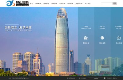 山东**控股有限公司