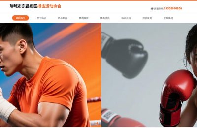 聊城市东昌府区搏击运动协会官网